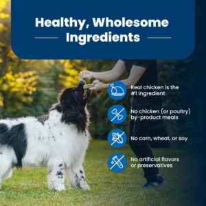 Dogs food