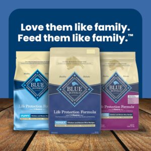 Dogs food